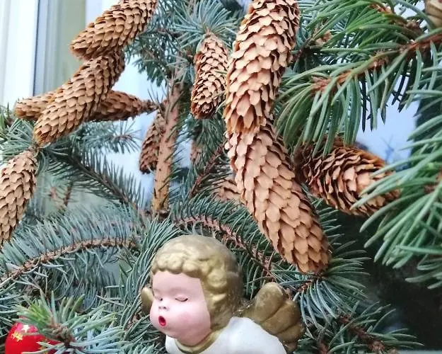 Usis_ferienwohnung Im Harz